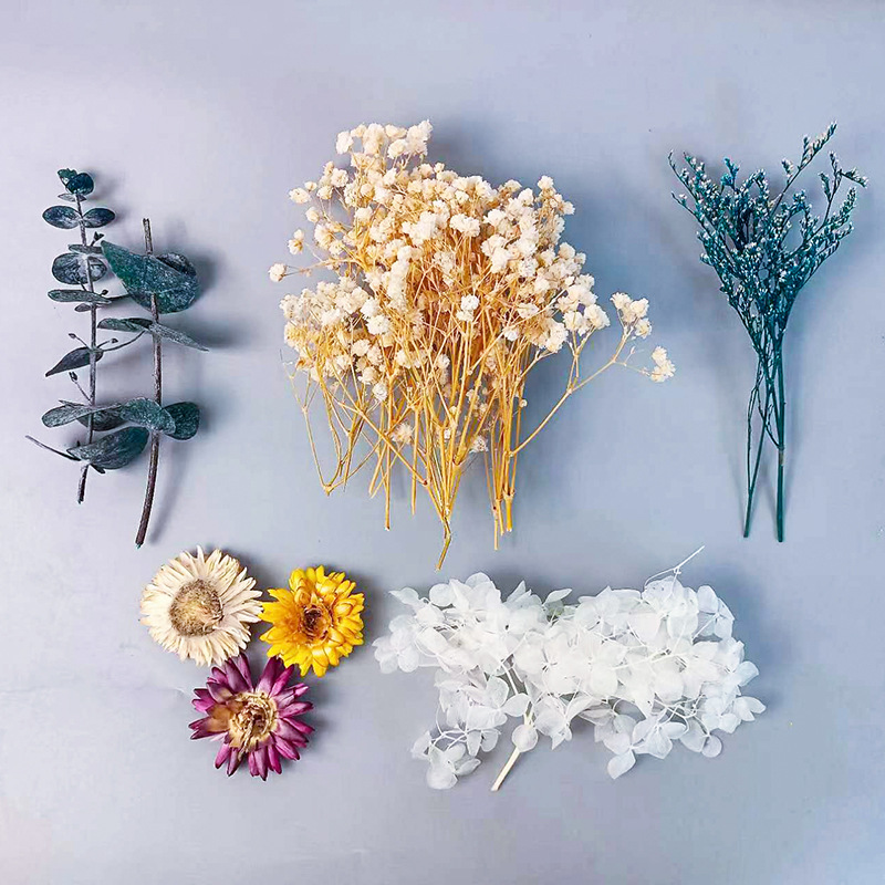 Craft Embellishments - 1 confezione di fiori secchi vari