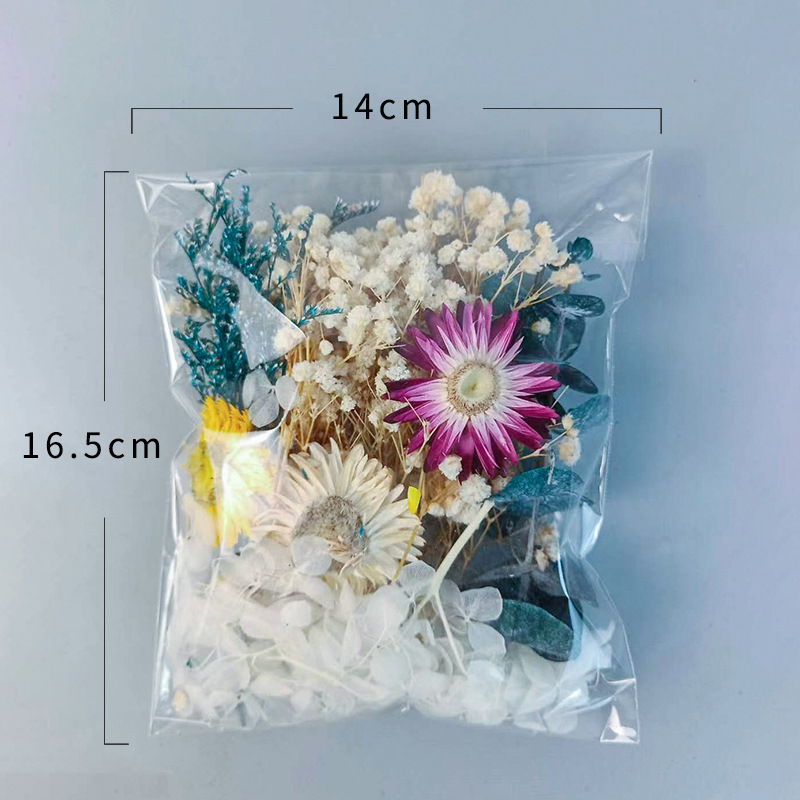 1 confezione di fiori secchi v - Craft Embellishments recensione e prezzo